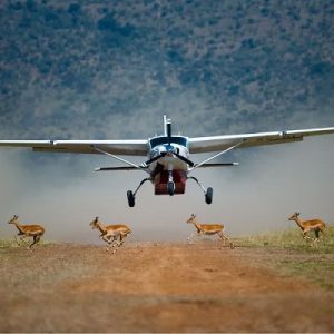 Kenya Flying Safari